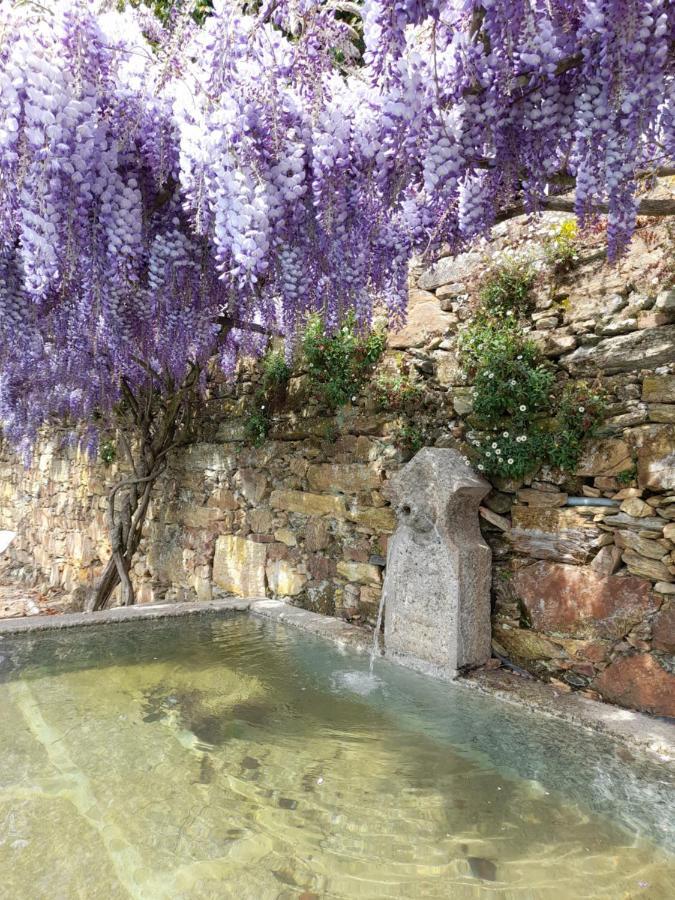 Quinta Das Aranhas Βίλα Castelo de Paiva Εξωτερικό φωτογραφία